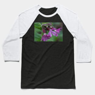 English Wild Flowers - Red Campion Baseball T-Shirt